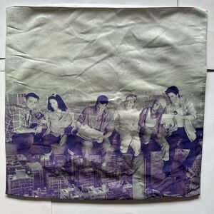 F.R.I.E.N.D.S themed accent pillow cover (pillow not included)